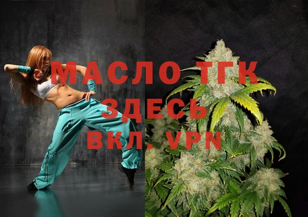 spice Ельня