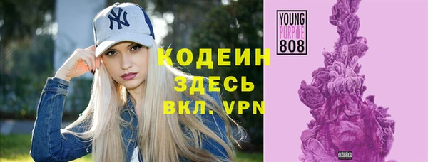 spice Ельня