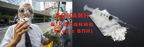 spice Ельня