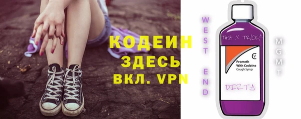 spice Ельня