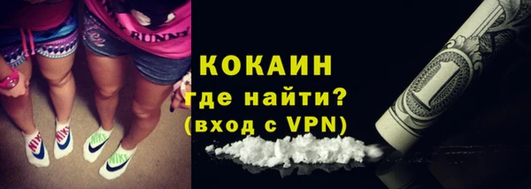 spice Ельня