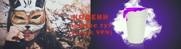 спиды Елизово