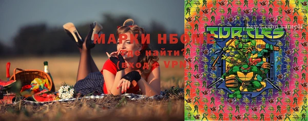 ПСИЛОЦИБИНОВЫЕ ГРИБЫ Елабуга
