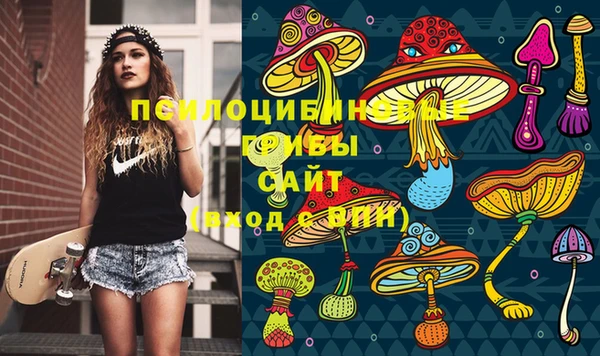 spice Ельня