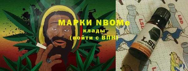 spice Ельня