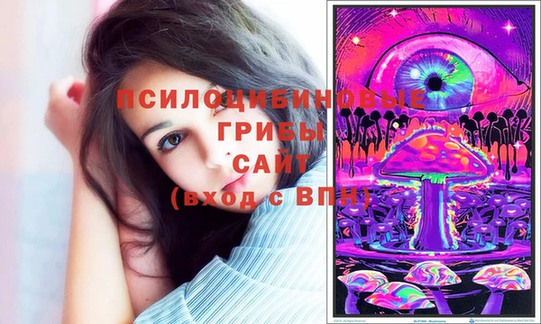 ПСИЛОЦИБИНОВЫЕ ГРИБЫ Елабуга