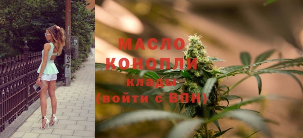 spice Ельня