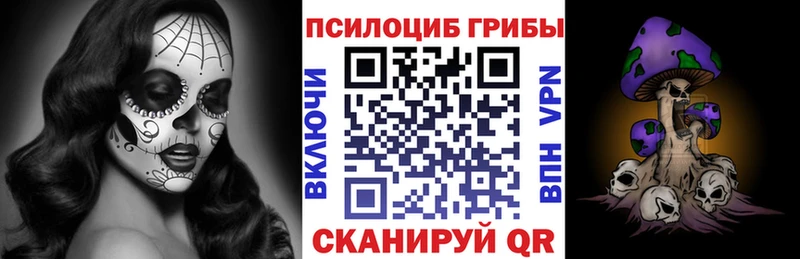 Купить закладки  Макушино  Галлюциногенные грибы Cubensis 